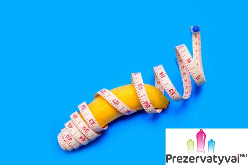 Koks normalus vyro penio dydis / ilgis?