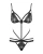 Obsessive Wonderia Teddy atviras bodis